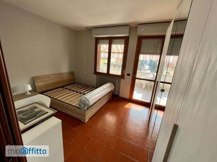 Appartamento arredato con terrazzo Parma