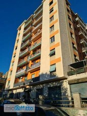 Appartamento arredato con terrazzo San fruttuoso