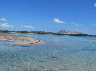 Appartamento vacanze per 9 persone con giardino