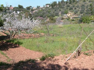 ARGENTARIO- Proprieta terreno e rustico vicino alla spiaggia