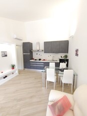 Bilocale a Lissone, 1 bagno, giardino in comune, arredato, 52 m²