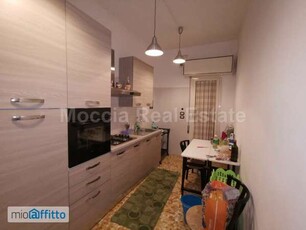 Bilocale arredato con terrazzo Caserta