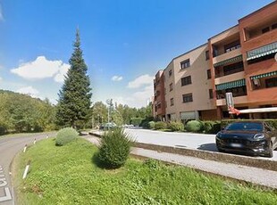 Monolocale immerso nel verde - 580 euro