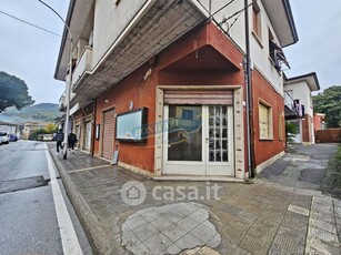 Negozio/Locale commerciale in Vendita in Via della Misericordia a Massarosa