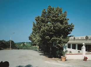 ristorante in affitto a Verucchio