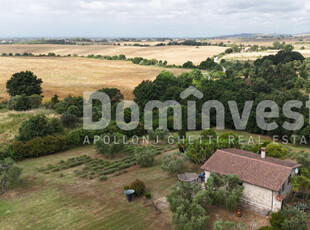 Rustico / Casale in affitto a Capalbio - Zona: Pescia Fiorentina