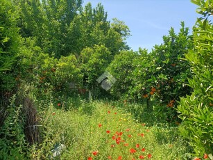 Ter. agricolo in vendita