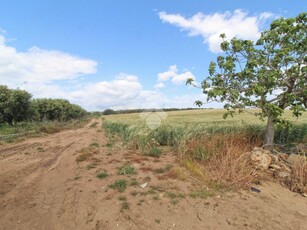 Ter. agricolo in vendita