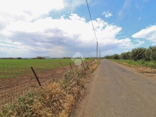 Ter. agricolo in vendita