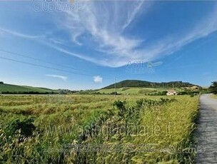 Terreno Agricolo Castellina Marittima [A4284179]