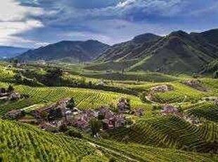 Terreno agricolo in vendita a Pieve Di Soligo