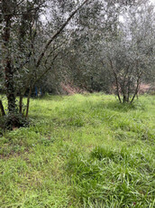terreno agricolo in vendita a Sesto Fiorentino