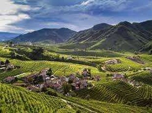 Terreno agricolo in Vendita in Borgo Antiga a San Pietro di Feletto