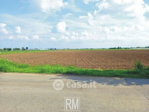 Terreno agricolo in Vendita in Strada di San Martino a Bolgare