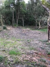 Terreno agricolo in Vendita in Via acquedotto Leopoldino a Monte Argentario