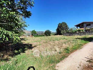 Terreno agricolo in Vendita in Via Colle Ponte a Guidonia Montecelio