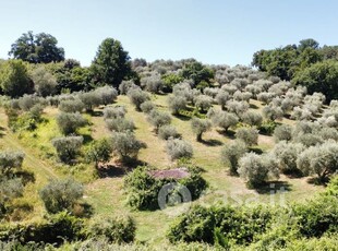 Terreno agricolo in Vendita in Via di Vallenoria 1 a Fiano Romano