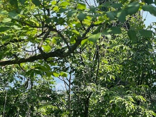 Terreno agricolo in Vendita in Via F. Crispi a Padenghe sul Garda