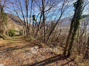 Terreno agricolo in Vendita in Via Giuseppe Verdi a Rogno