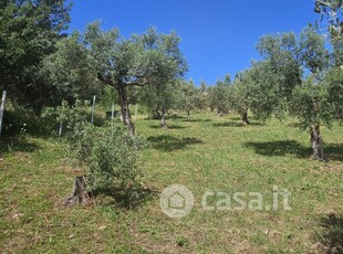 Terreno agricolo in Vendita in Via Michelangelo Cianti a Guidonia Montecelio