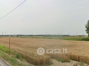 Terreno agricolo in Vendita in Via Murazze a Porto Viro
