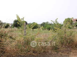 Terreno agricolo in Vendita in Via Santa Marinella a Nettuno