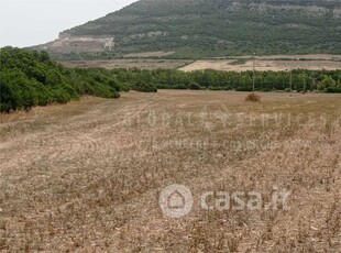 Terreno agricolo in Vendita in Via S'Ardiola a Alghero
