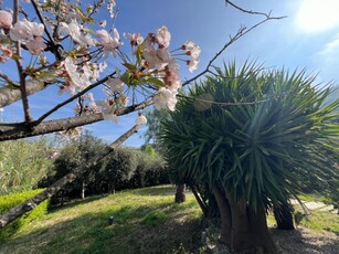 Villa in Via Santa Maria del Campo, Salerno, 2 bagni, posto auto