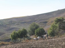 Terreno Cianciana, Agrigento