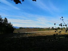 terreno agricolo in vendita a Jesi