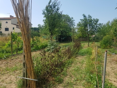 Bilocale con giardino, Cascina pettori