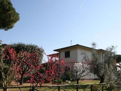 Immobile di 250 mq in vendita - Castagneto Carducci, Toscana