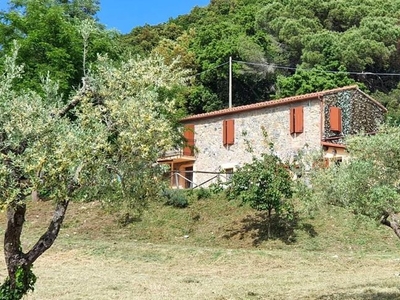 Lussuoso casale in vendita Riparbella, Toscana