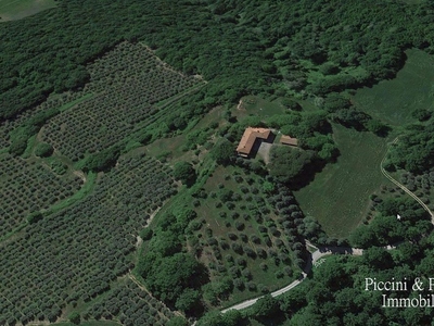 Lussuoso casale in vendita Strada Provinciale della Montagna, Cetona, Toscana