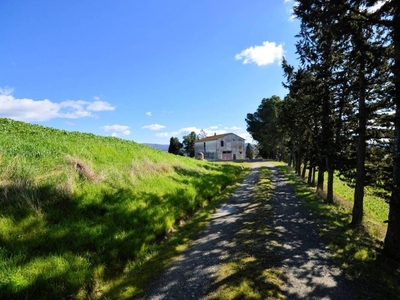 Lussuoso casale in vendita Volterra, Toscana