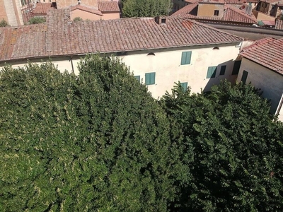 Prestigioso complesso residenziale in vendita Piazza San Paolo all'Orto, 21, Pisa, Toscana