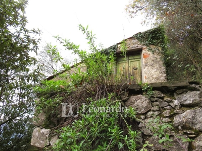 terreno agricolo in vendita a Camaiore