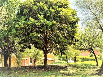 Casa indipendente con giardino, Carrara fossola