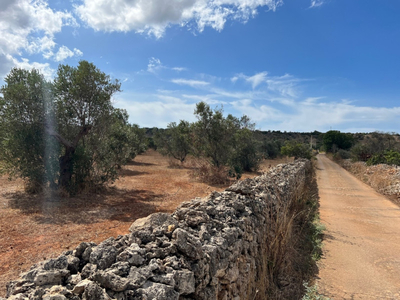 terreno residenziale in vendita a Gallipoli