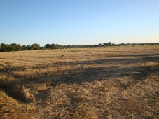 Terreno in vendita a Castagneto Carducci