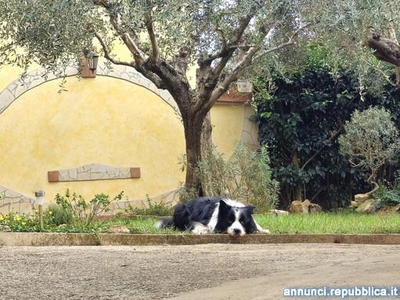 UN ANNUNCIO DIVERSO PER UNA CASA