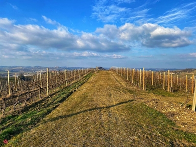 Capannone in Vendita in SP456 a Nizza Monferrato