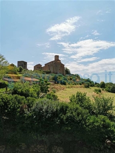 Rustico casale da ristrutturare in vendita a Tuscania