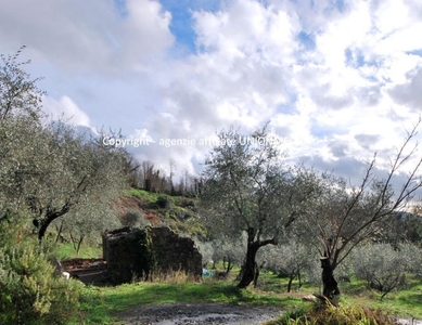 rustico / casale in vendita a Santo Stefano di Magra