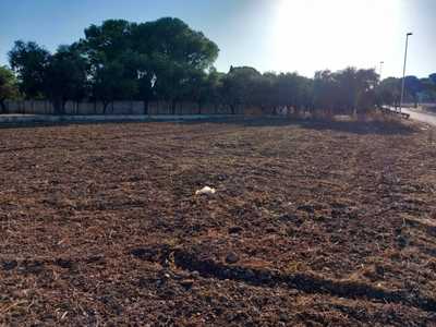Terreno Agricolo in vendita a Bari via Bitritto, 124c