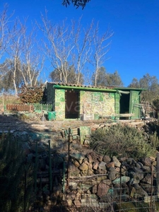 Terreno Agricolo in vendita a Bolsena via Cassia