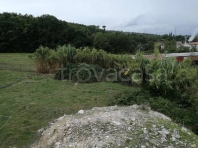 Terreno Agricolo in vendita a Broccostella via Aurita