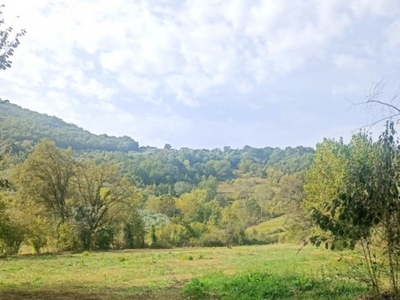 Terreno Agricolo in vendita a Broccostella via colle allino