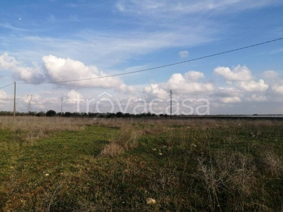 Terreno Agricolo in vendita a Casamassima strada Provinciale Acquaviva delle fonti-casamassima