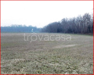Terreno Agricolo in vendita a Castano Primo strada Vicinale Canale Villoresi